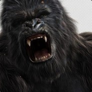 我是新手别欺负我