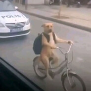 дима