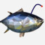 AngularFish