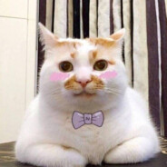 穿条秋裤跟着你