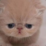 她这辈子吃不起蟹棒