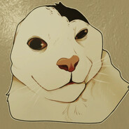 -PIPIRKA- avatar