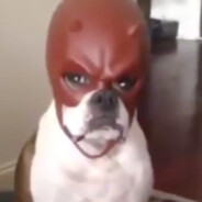 ArchieB avatar