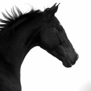 裕华路高速口等你