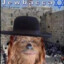 Jewbacca