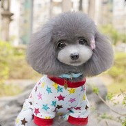 落殇丶花已谢AA