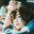 yume