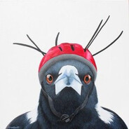 secret agent magpie