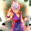GOHAN