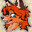 FuriousFox25
