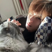 让我看看你的牌