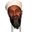 Osama Bin Ladder