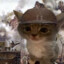 cat of war