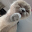 Peachie WEE
