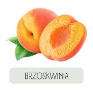 xxxPussyDestroyerxxx