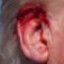 Trump&#039;s Ear