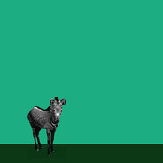 spiiderland