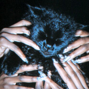 Razex - steam id 76561198390096533