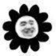 伯乐快递 先马后寄