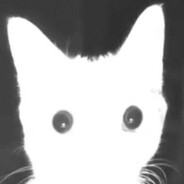 ☽ NoxVex ☾