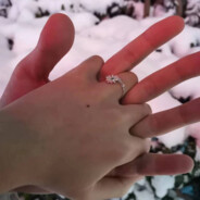 竹竹还是猪猪呀