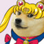 Sailor Doge