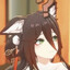 ENVY-512