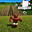 -absolute-