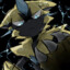 zeRAORa