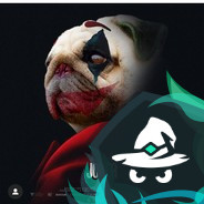 Pug joker 69 xd  hellcase.org