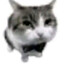 pigmento's avatar