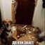 eбaть тoп нaxyй