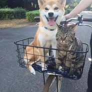 我的辣条好吃吗