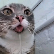 А