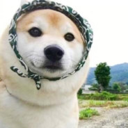 翻斗恶霸胡涂图