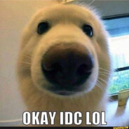 GyatsnifferCASE.GIFT