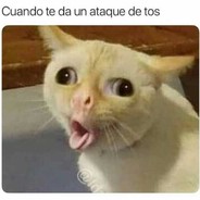 Topson