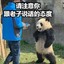 混的人