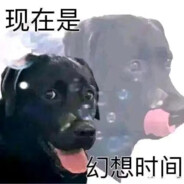 舔狗的幻想时刻