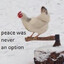 a murder most fowl