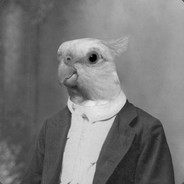 Suspeccct