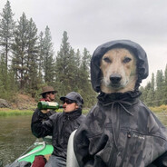 Надежда Самогон