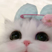 астася୧•ᴥ•୨