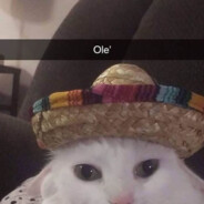 sy0