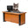 Computer Cat's Avatar