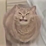 - sqrl
