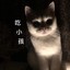 逛电子青楼，得赛博花柳