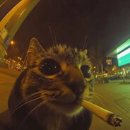 вовчик шинка