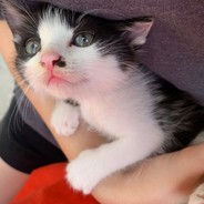 一支穿啊啊啊云箭