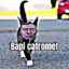 cat romet